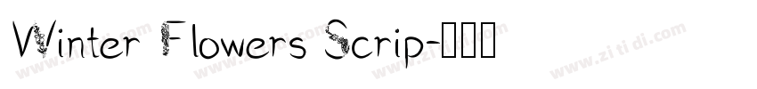Winter Flowers Scrip字体转换
